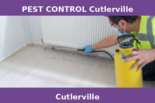 PEST CONTROL Cutlerville